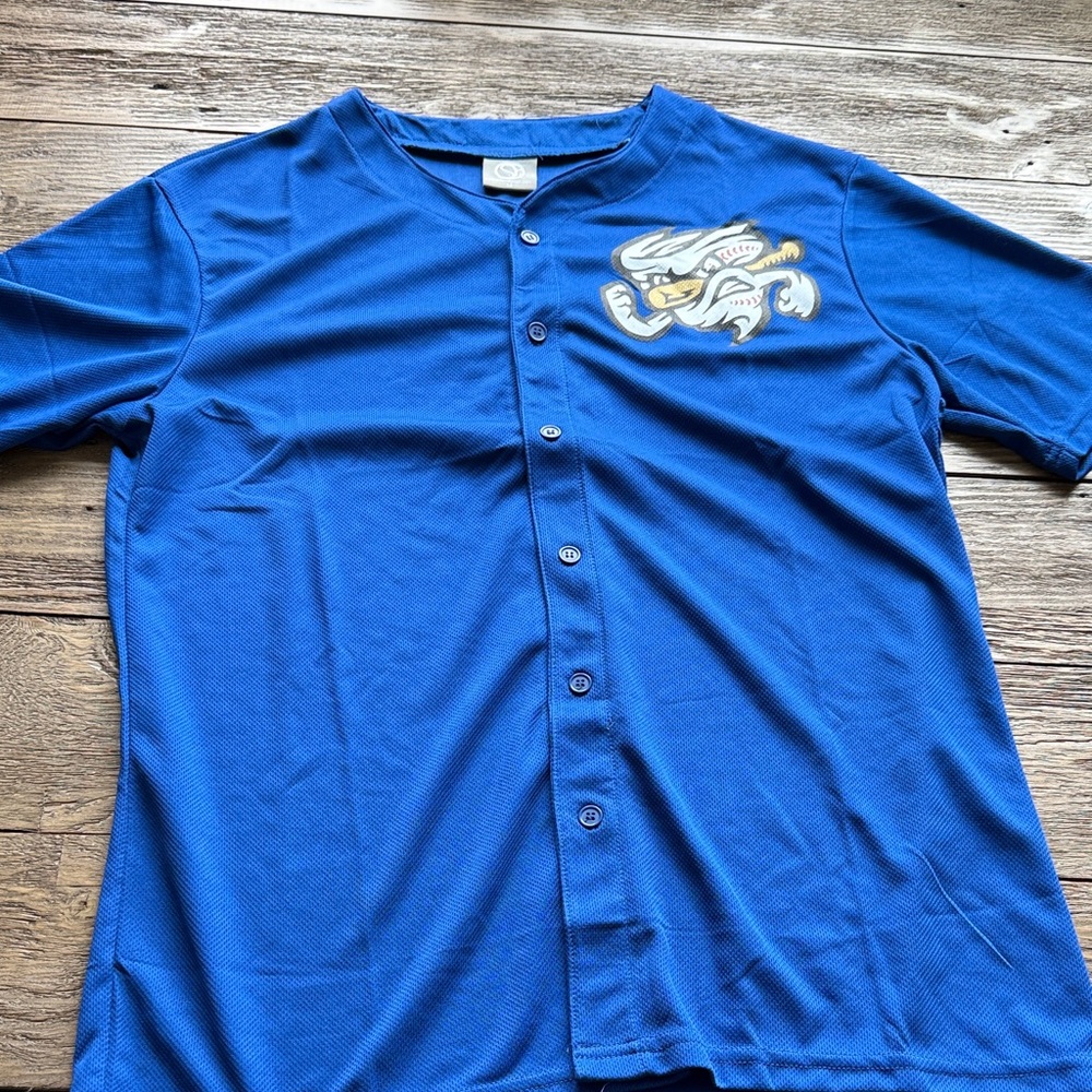 Blue Button-Up Athletic Stormchasers Top with Mascot Graphic
